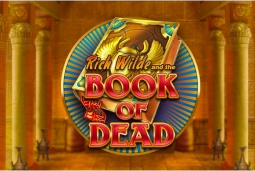 book-of-dead-icon-img