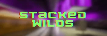 stacked-wilds-img